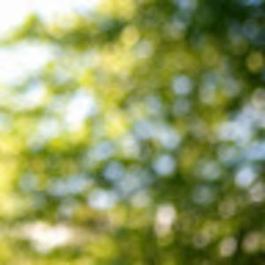 Meet your Posher, Nicohl